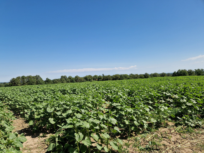 Offres de vente Ferme Cérilly (03350)